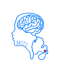 Wigs4Kids of Michigan - Resources - MI_Center_of_Tramatic_Stress
