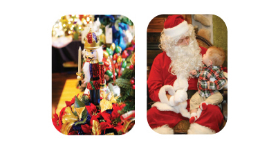 Merchandise - Wigs4Kids of Michigan - HolidayCards4