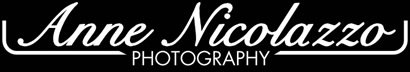 Sponsors of  Wigs 4 Kids of Michigan - an_logo-whi-1