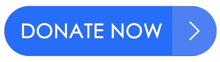 Mt. Clemens Firefighters Local 838 &amp; Josh Ringstad Fundraiser - Past Events - Maggie\&#039;s Wigs 4 Kids of Michigan - donate-button(1)