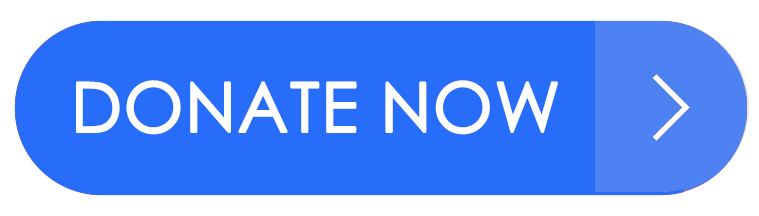 Mt. Clemens Firefighters Local 838 &amp; Josh Ringstad Fundraiser - Wigs 4 Kids of Michigan Charity Events and Gala - donate-button(1)