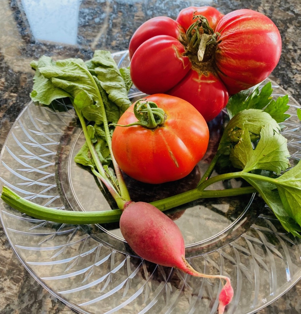 Support services for Children and Families in Michigan  - first_harvest_7-19-2021