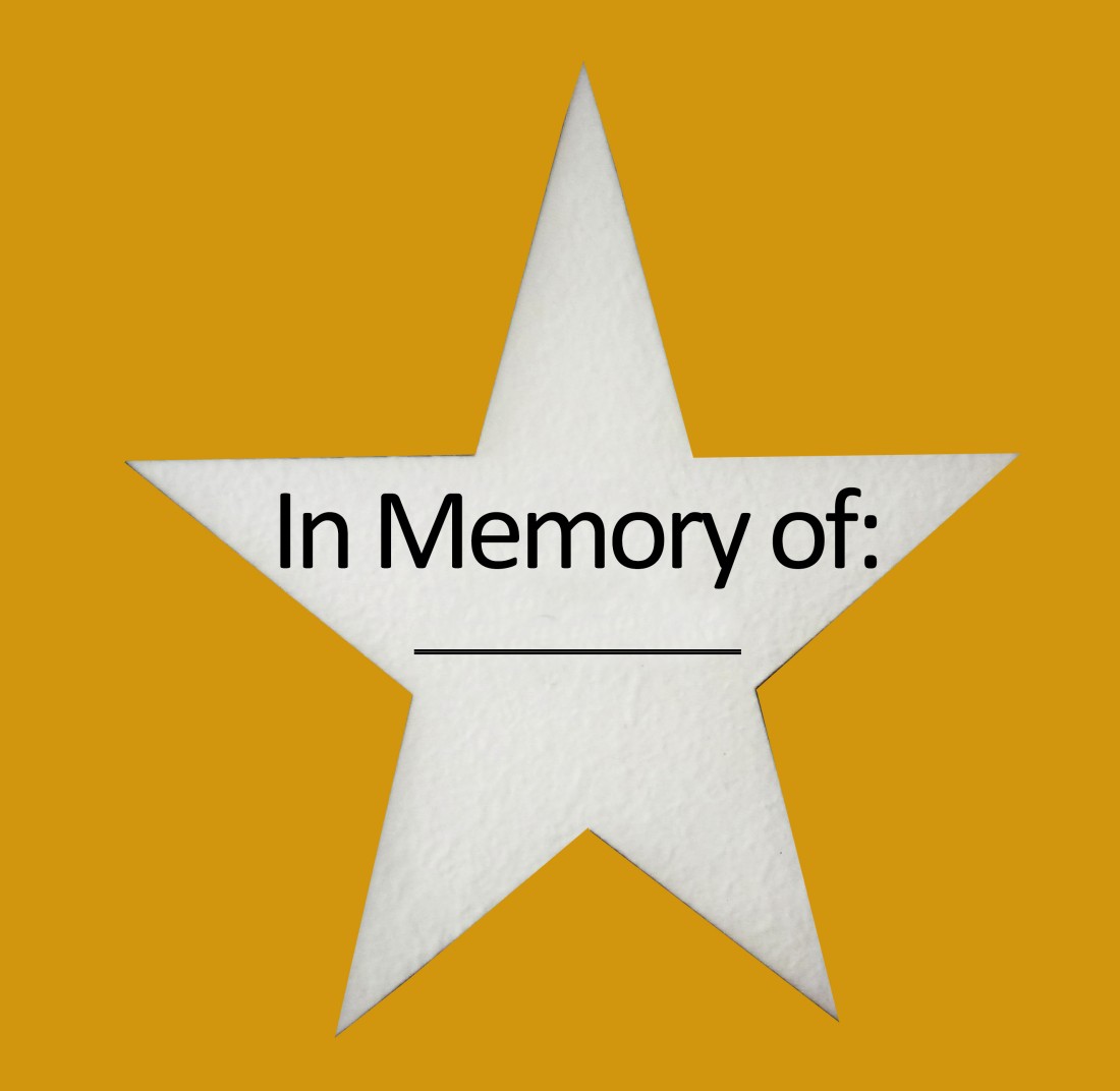 In Memory Donations - Maggie's Wigs 4 Kids of Michigan - in-memory-of-FM-star