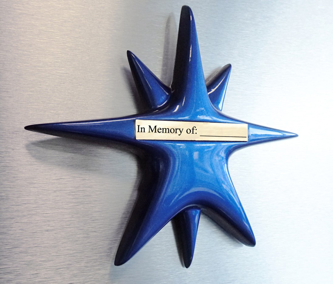 In Memory Donations - Maggie's Wigs 4 Kids of Michigan - in-memory-of-galaxy-star